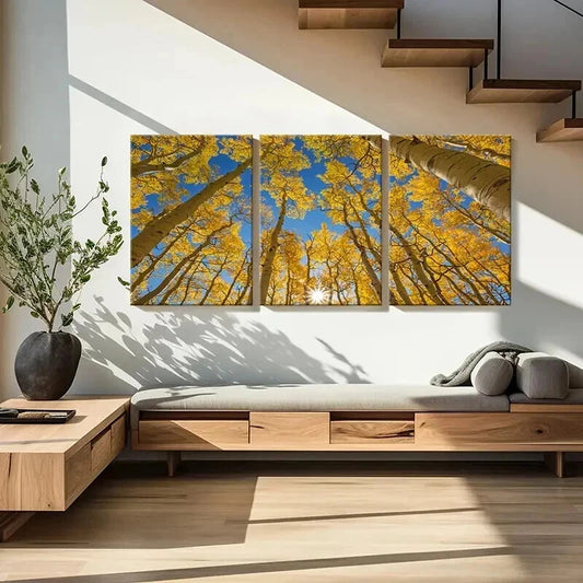 3pcs Autumn Golden Birch Forest Landscape Wall Art Set Canvas Framed 40x60cm - High Quality Print 100% Australian Made Wall Canvas Ready to Hang