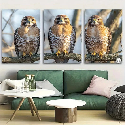3pcs Birds of Prey sitting in a tree Metal Print Ready to Hang Art