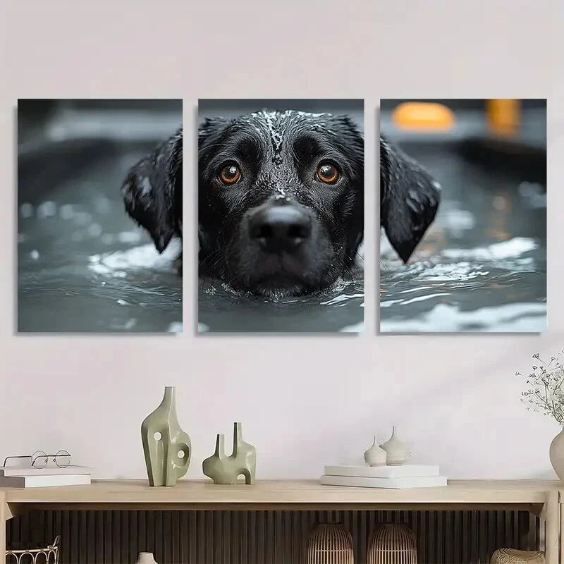 3pcs Black Labrador in Water Brown Eyes Metal Print Ready to Hang Art