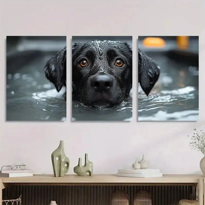 3pcs Black Labrador in Water Brown Eyes Metal Print Ready to Hang Art