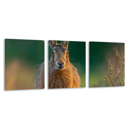 3pcs A Brown Hare In The Forest  Wall Art Set Canvas Framed 60x90cm - High Quality Print 100% Australian Made Wall Canvas Ready to Hang