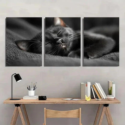 3pcs Black Cat Sleeping Vintage Aesthetic Wall Art Set Canvas Unframed - High Quality Print 100% Australian Made Wall Canvas