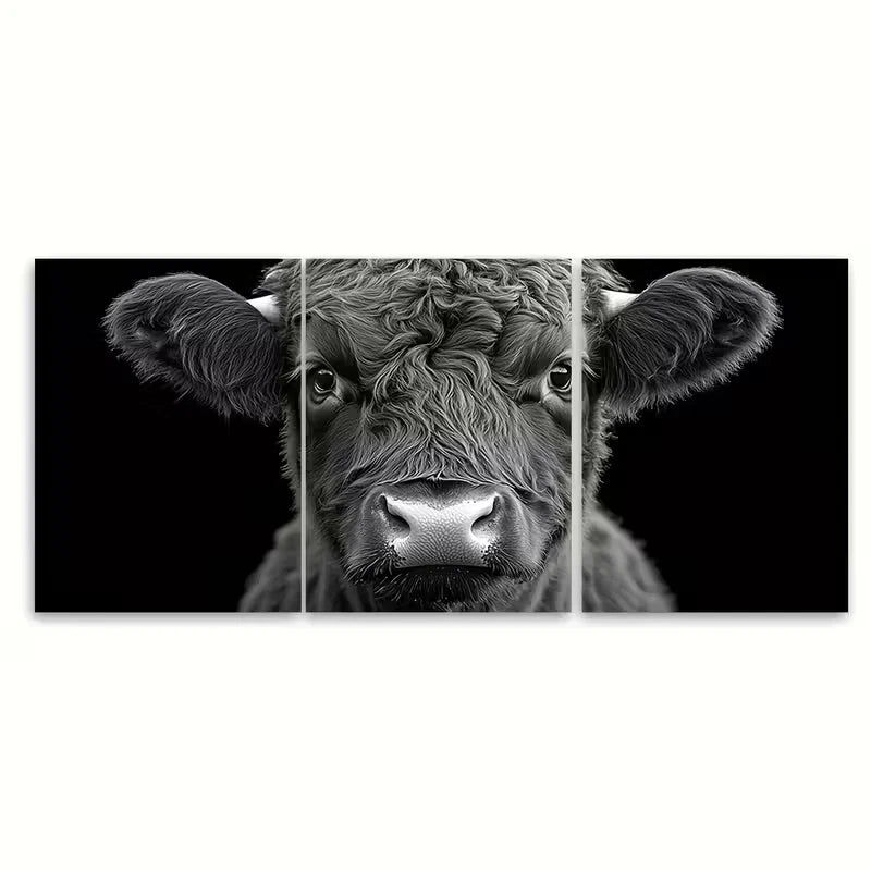 3pcs Black and White Scottish Highland Bull Metal Print Ready to Hang Art