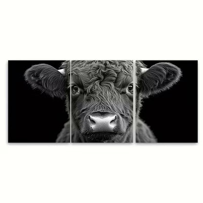 3pcs Black and White Scottish Highland Bull Metal Print Ready to Hang Art