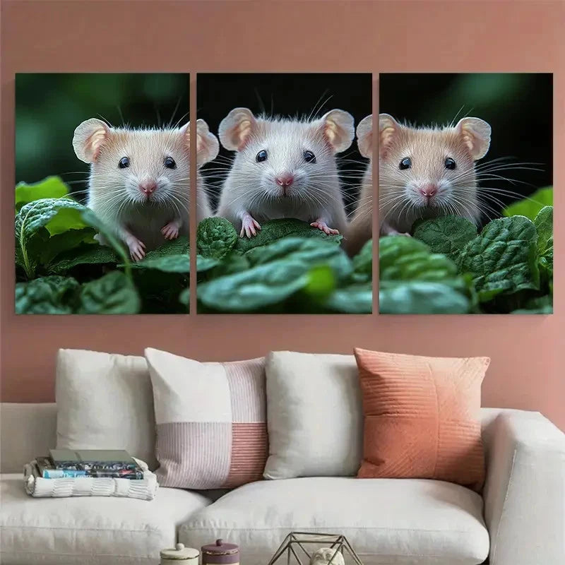 3pcs White Rats Painting Pets Portrait Wall Art Set Canvas Framed 50x70cm - High Quality Print 100% Australian Made Wall Canvas Ready to Hang