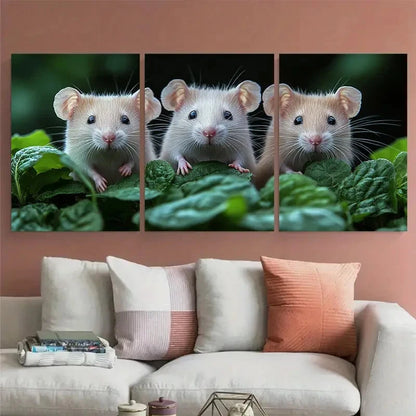 3pcs White Rats Painting Pets Portrait Wall Art Set Canvas Framed 50x70cm - High Quality Print 100% Australian Made Wall Canvas Ready to Hang