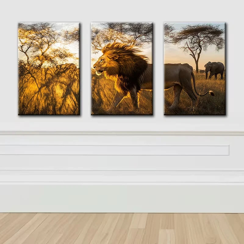 3pcs Majestic Lion Illustration Wall Art Set Canvas Framed 50x70cm - High Quality Print 100% Australian Made Wall Canvas Ready to Hang