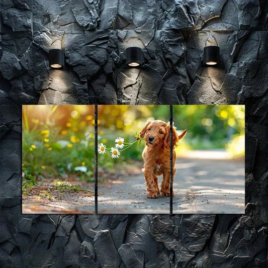 3pcs Adorable Cocker Spaniel Puppy in Nature Metal Print Ready to Hang Art