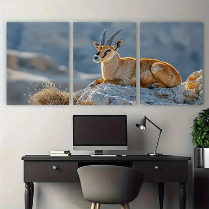 3pcs Nubian Ibex on Makhtesh Ramon Cliffs Wildlife Wall Art Set Canvas Framed 40x60cm - High Quality Print 100% Australian Made Wall Canvas Ready to Hang