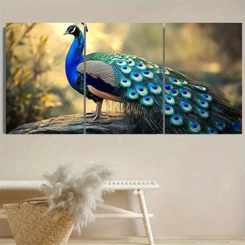 3pcs Peacock Vintage Wall Art Set Canvas Unframed - High Quality Print 100% Australian Made Wall Canvas