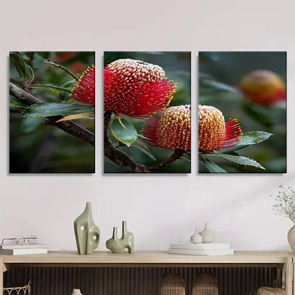 3pcs Banksia Australian Wild flower Wall Art Set Canvas Framed 40x60cm - High Quality Print 100% Australian Made Wall Canvas Ready to Hang