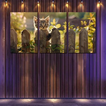 3pcs Charming Kitten at the Fence Metal Print Ready to Hang Art