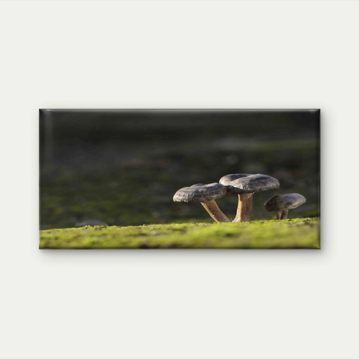 Edible Mushrooms Grass Forest Wall Art Canvas Office Home Room Framed 120x60cm