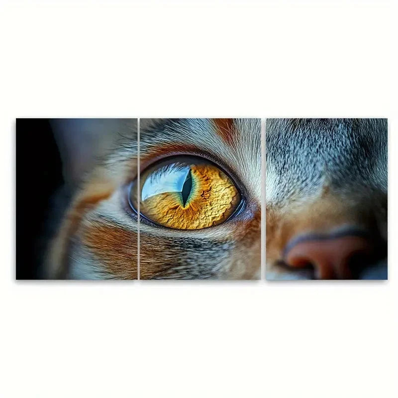 3pcs Amber Cat Eyes Canvas Print Wall Art Set Canvas Framed 40x60cm - High Quality Print 100% Australian Made Wall Canvas Ready to Hang