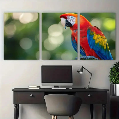 3pcs Vibrant Scarlet Macaw Photography Tropical Metal Print Ready to Hang Art