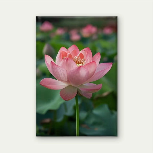 Pink for Lotus in Full Bloom 60x90cm Metal Print Ready to Hang