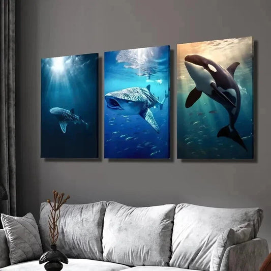 3pcs Marine Life Whales Photography Wall Art Set Canvas Framed 40x60cm - High Quality Print 100% Australian Made Wall Canvas Ready to Hang