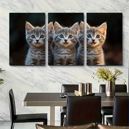 3pcs Fluffy Grey Cats with Blue Eyes C Wall Art Set Canvas Framed 40x60cm - High Quality Print 100% Australian Made Wall Canvas Ready to Hang