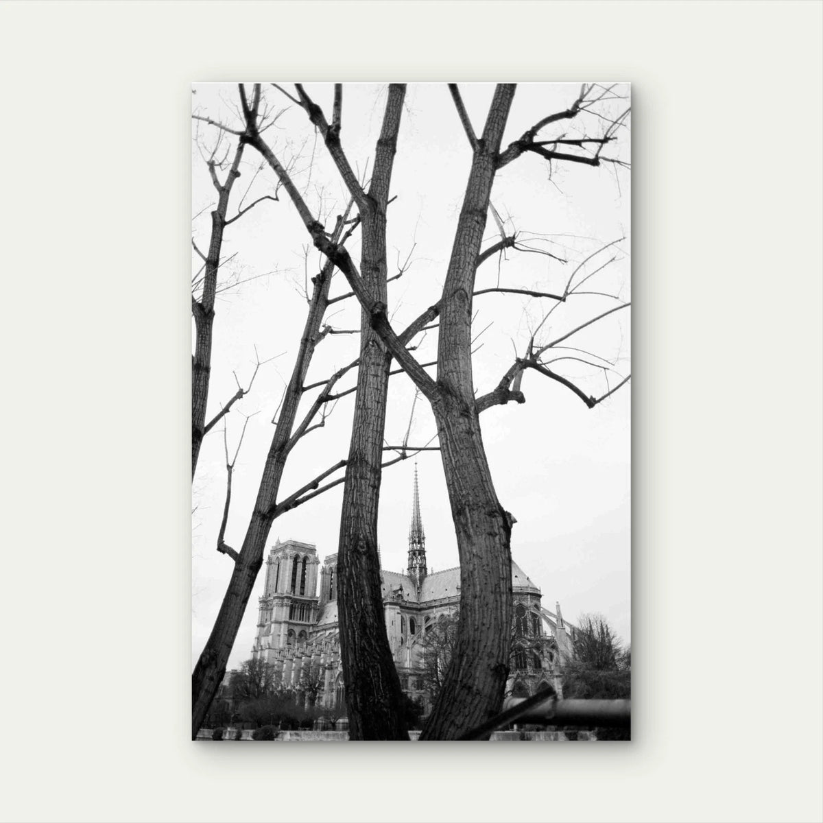 Trees Mansion Black White 40x60cm Metal Print Ready to Hang