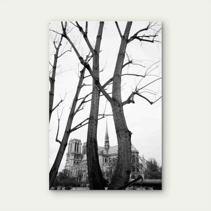 Trees Mansion Black White 40x60cm Metal Print Ready to Hang