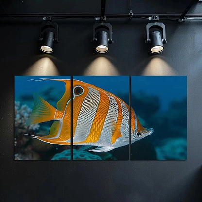 3pcs Beautiful Coral Reef Butterfly Fish Swim Metal Print Ready to Hang Art