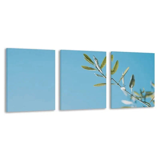 3pcs Olive Branch Against the Clear Blue Sky  Wall Art Set Canvas Framed 60x90cm - High Quality Print 100% Australian Made Wall Canvas Ready to Hang
