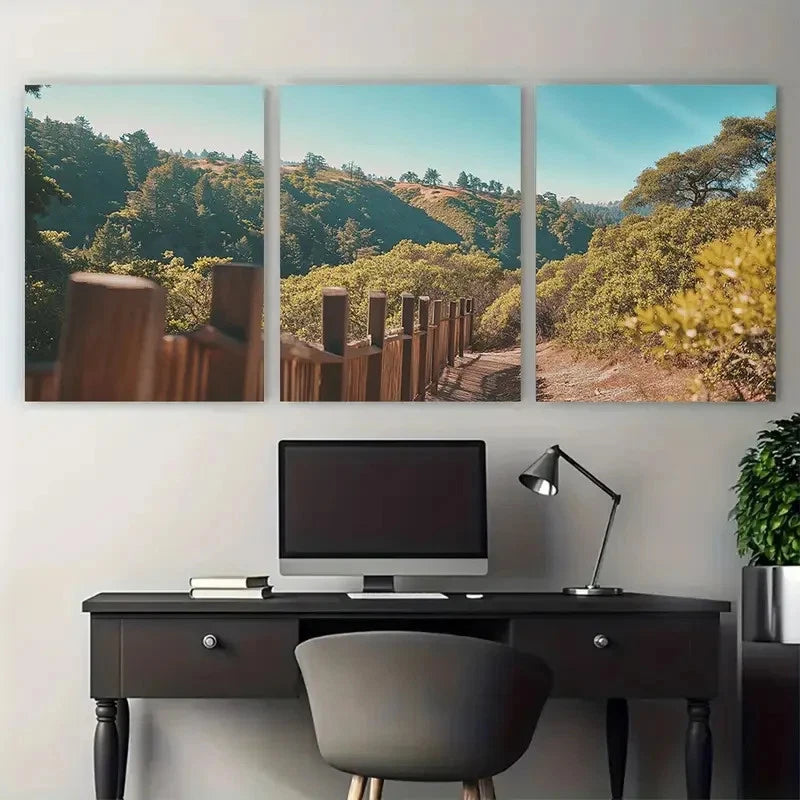 3pcs Muir Woods National Monument Travel Wall Art Set Canvas Framed 50x70cm - High Quality Print 100% Australian Made Wall Canvas Ready to Hang