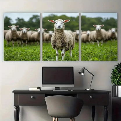 3pcs Sheep Flock Nature Photography Wall Art Set Canvas Framed 40x60cm - High Quality Print 100% Australian Made Wall Canvas Ready to Hang
