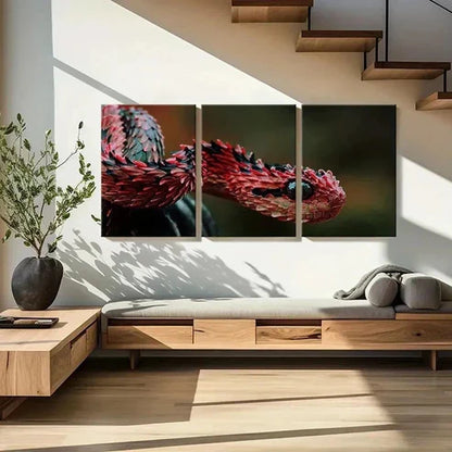 3pcs Cold Blooded Reptiles Snakes Tree Vipers Wall Art Canvas Unframed - High Quality Print 100% Australian Made Wall Canvas