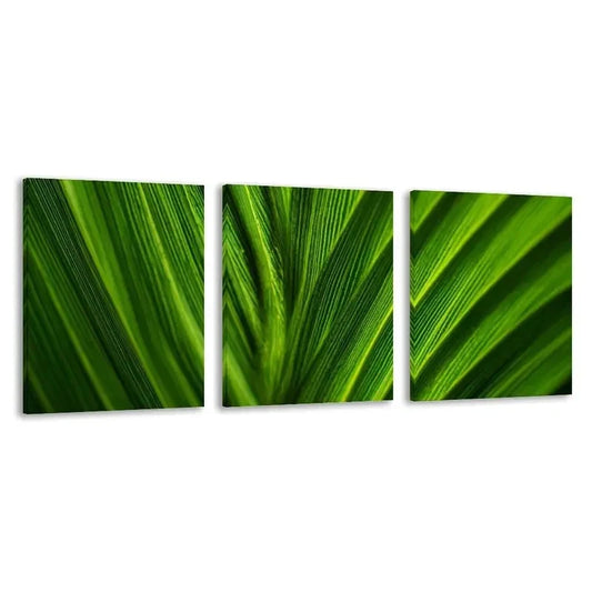 3pcs Vibrant Green Texture on a Palm Leaf     Wall Art Set Canvas Framed 60x90cm - High Quality Print 100% Australian Made Wall Canvas Ready to Hang