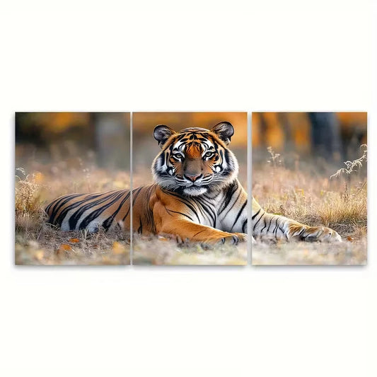 3pcs Resting in Tiger Reserve National Park Metal Print Ready to Hang Art