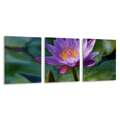 3pcs Purple Water Lily Flower Blooming Wall Art Set Canvas Framed 50x70cm - High Quality Print 100% Australian Made Wall Canvas Ready to Hang