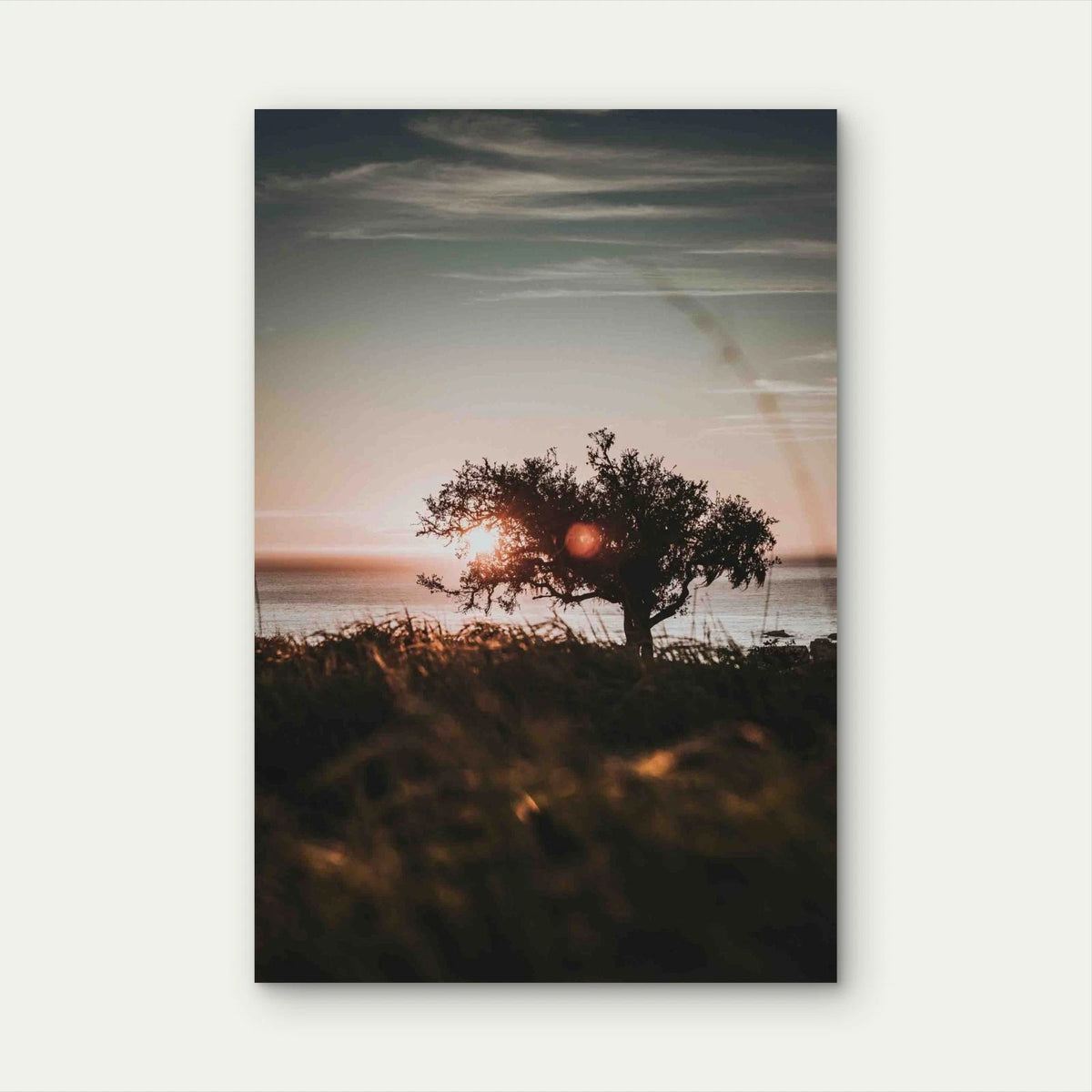 Vertical Shore of a Tree on the Shore Metal Print Ready to Hang