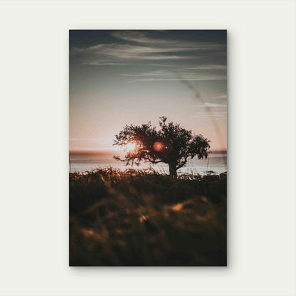 Vertical Shore of a Tree on the Shore Metal Print Ready to Hang