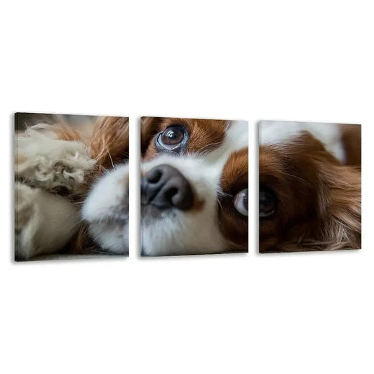3pcs Cavalier King Charles Spaniel Dog   Wall Art Set Canvas Framed 60x90cm - High Quality Print 100% Australian Made Wall Canvas Ready to Hang