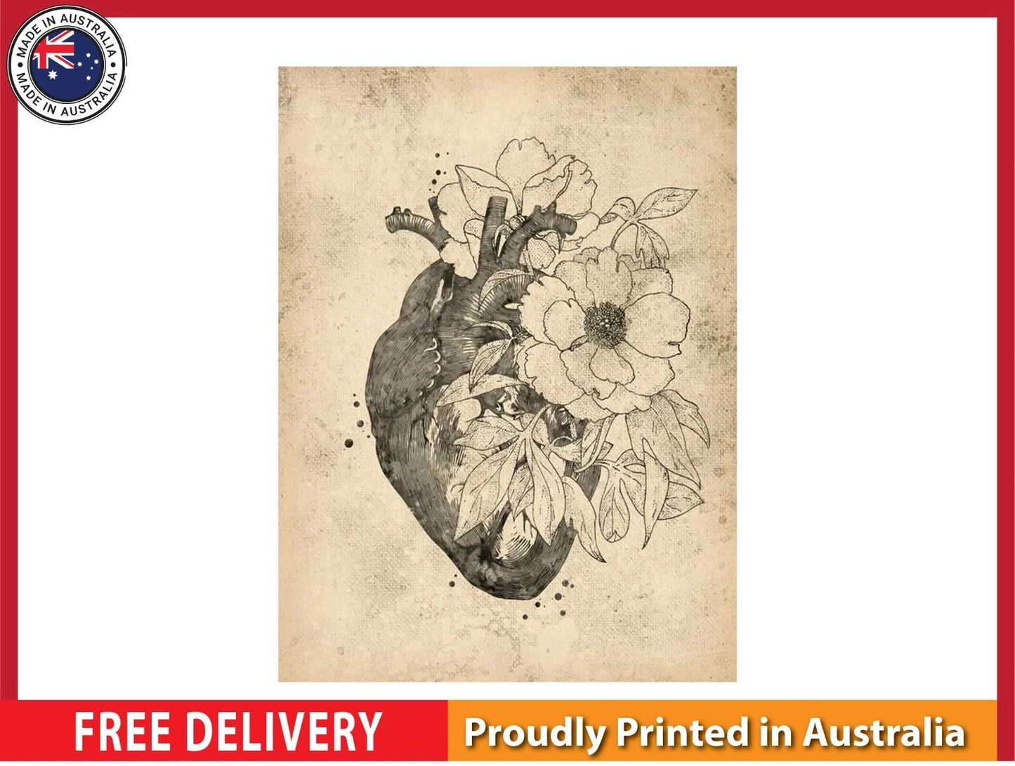 NEW (LAMINATED) CARDIOLOGY ART (61X91CM) MEDICAL CHART PICTURE PRINT