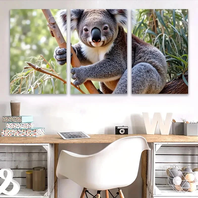 3pcs Cute Koala, in Australia Wal1l Art Set Canvas Framed 40x60cm - High Quality Print 100% Australian Made Wall Canvas Ready to Hang
