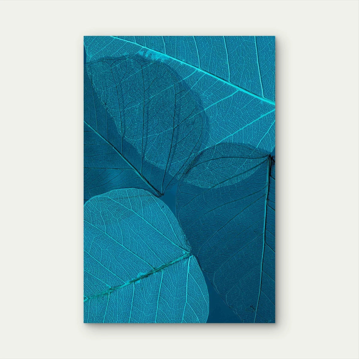 Pipal Leaf Skeletons Metal Print Ready to Hang