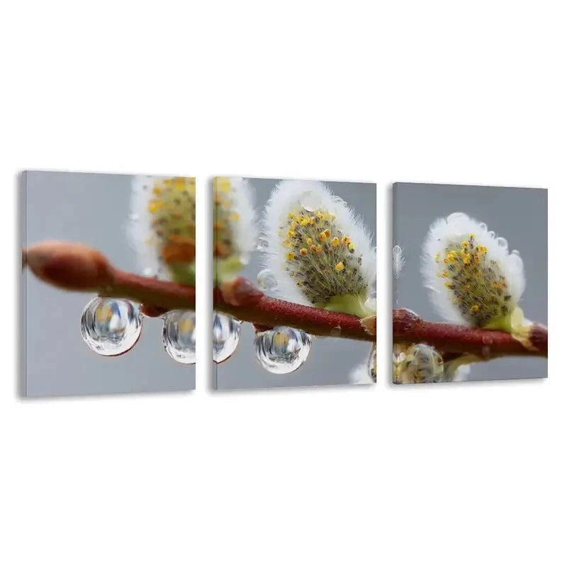 3pcs Water Droplets Cling To Willow    Wall Art Set Canvas Framed 60x90cm - High Quality Print 100% Australian Made Wall Canvas Ready to Hang