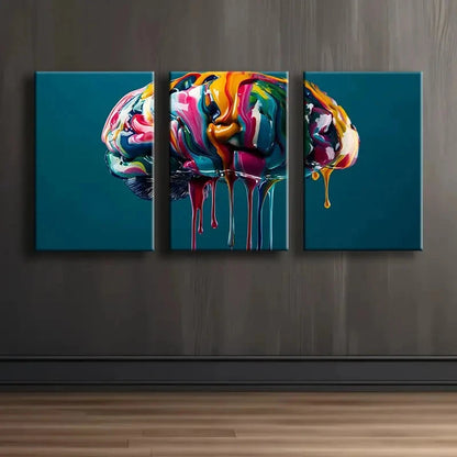 3pcs Colorful Abstract Brain Art Wall Art Set Canvas Framed 50x70cm - High Quality Print 100% Australian Made Wall Canvas Ready to Hang