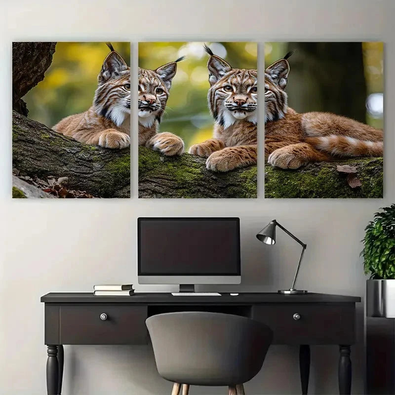 3pcs Eurasian Lynx Playful Scene on Mossy Tree Metal Print Ready to Hang Art