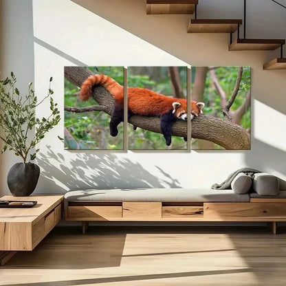 3pcs Animal Art Red Panda Modern Wall Art Set Canvas Framed 40x60cm - High Quality Print 100% Australian Made Wall Canvas Ready to Hang