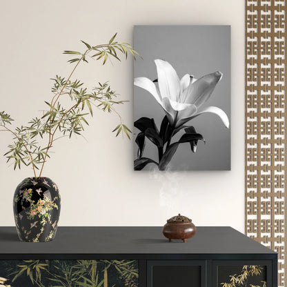 Black and White Lily Flower Botanical Modern 40x60cm Metal Print Ready to Hang