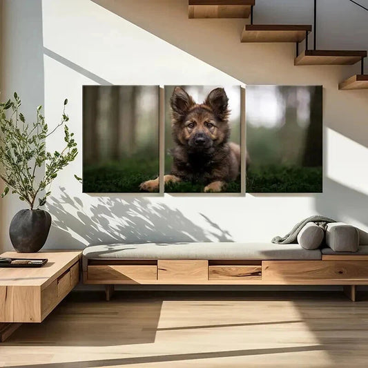 3pcs Brownish Dog Puppy Sitting on Grass Wall Art Set Canvas Framed 40x60cm - High Quality Print 100% Australian Made Wall Canvas Ready to Hang