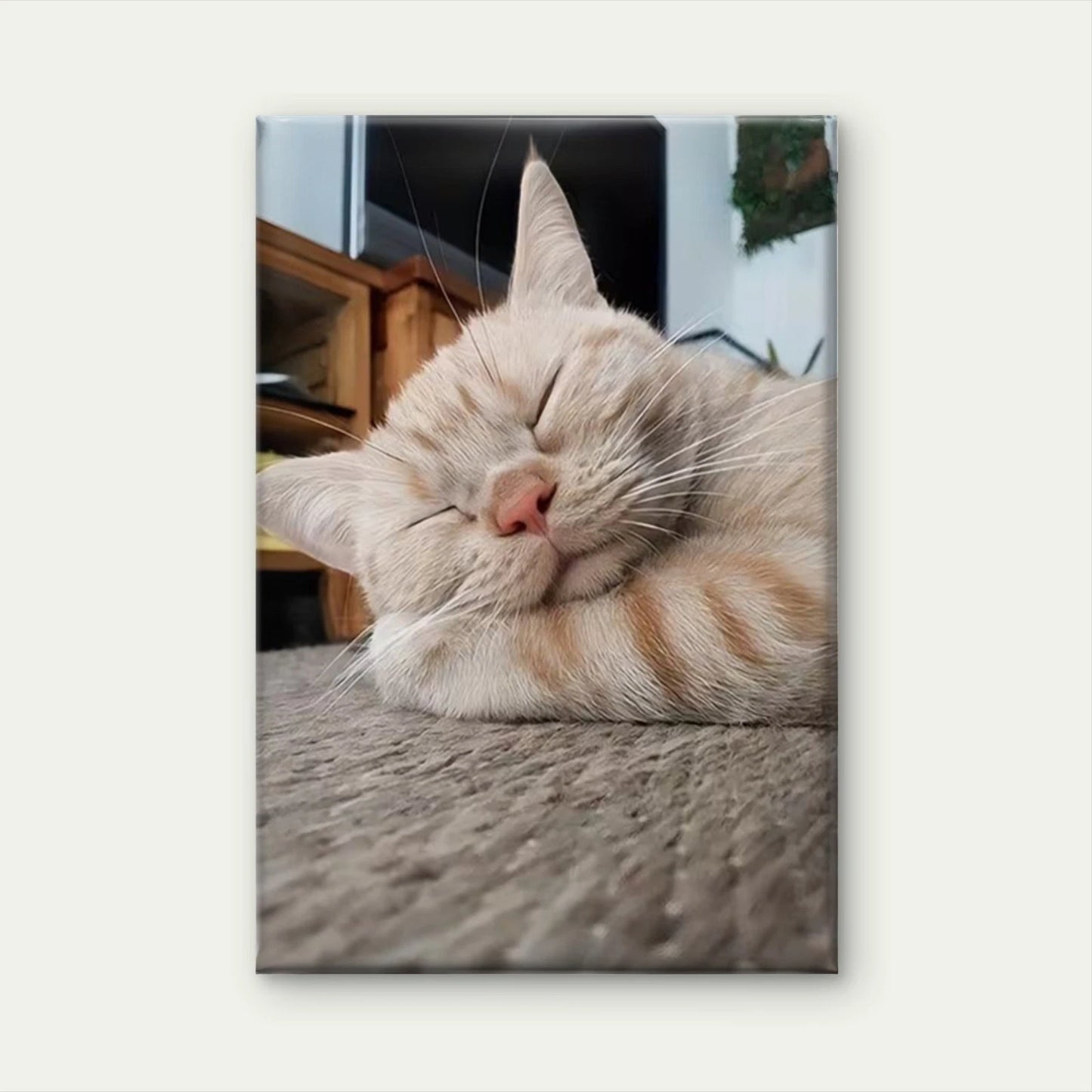 Beautiful Sleepy Feline, Oil Painting 60x90cm Metal Print Ready to Hang