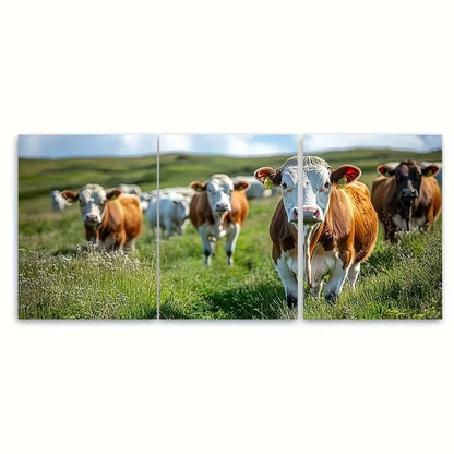 3pcs Rustic Farmhouse Grazing Cows Metal Print Ready to Hang Art