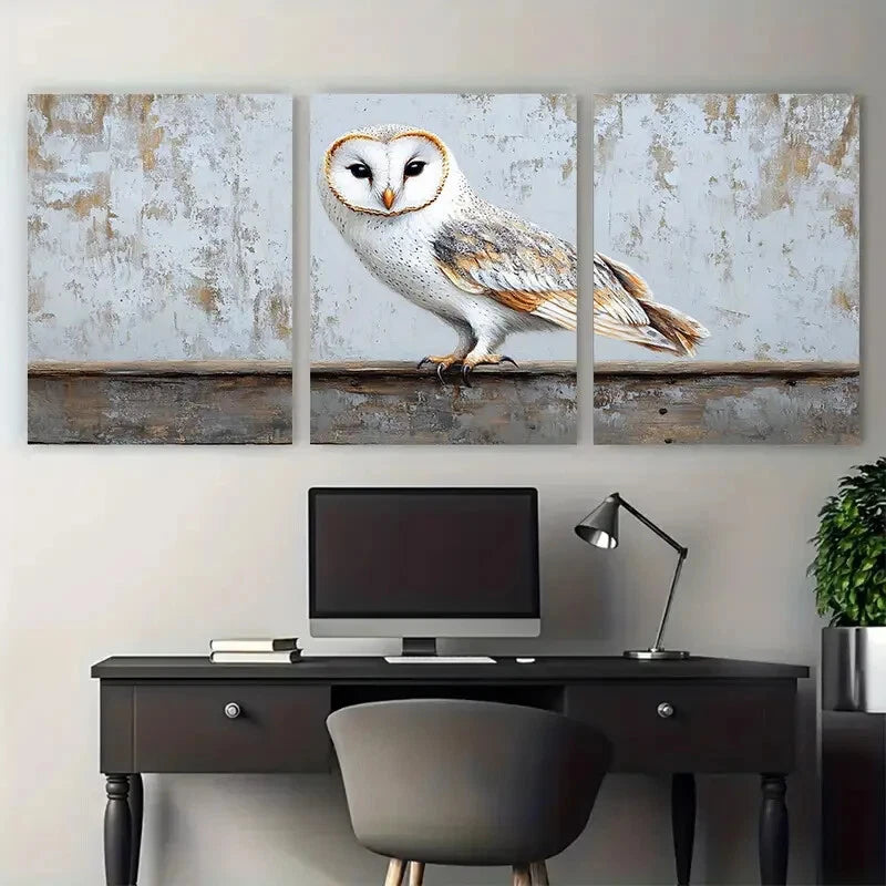 3pcs White Barn Owl Birds Rustic Design Metal Print Ready to Hang Art