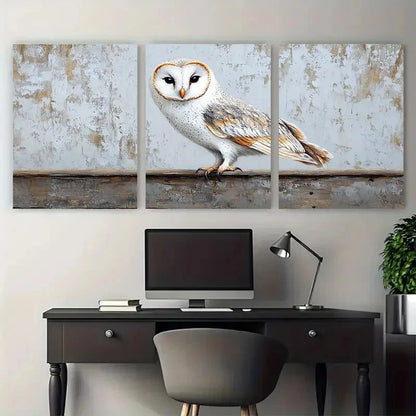 3pcs White Barn Owl Birds Rustic Design Metal Print Ready to Hang Art