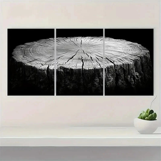 3pcs Black and White Art Wood Tree Ring Metal Print Ready to Hang Art