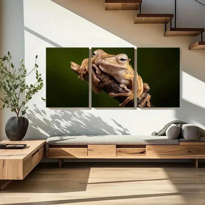 3pcs Tree Frog Lying On A Branch Print Wall Art Set Canvas Framed 40x60cm - High Quality Print 100% Australian Made Wall Canvas Ready to Hang